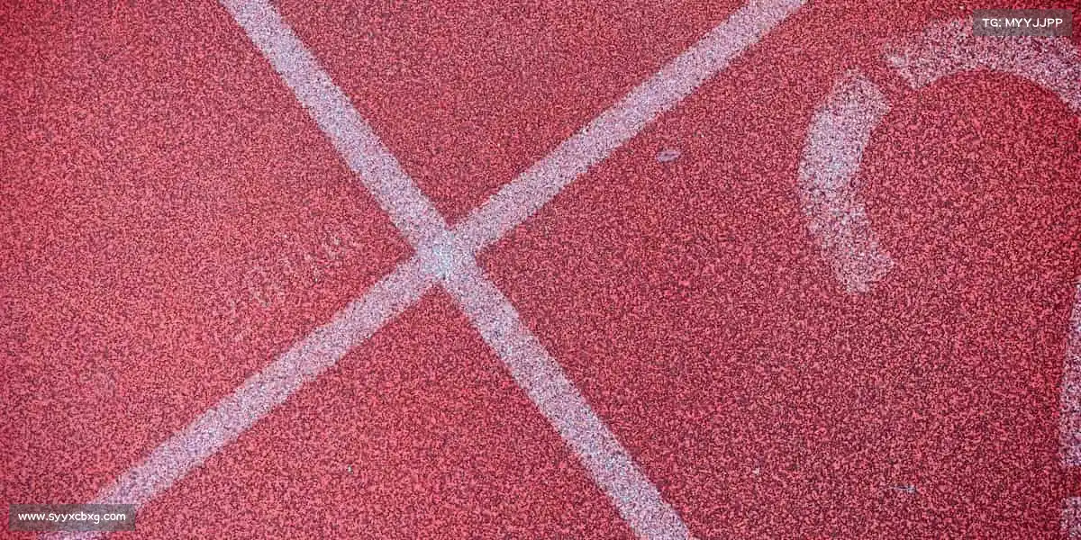 为什么选择我们